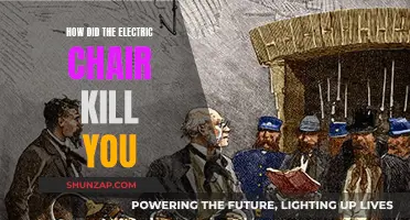 The Electric Chair: Mechanism of Death Explained