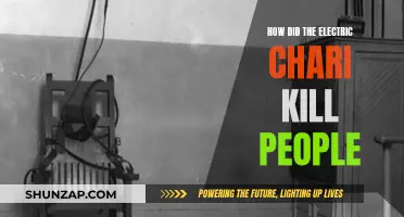 Electric Chair: A Lethal History of Electrocutions