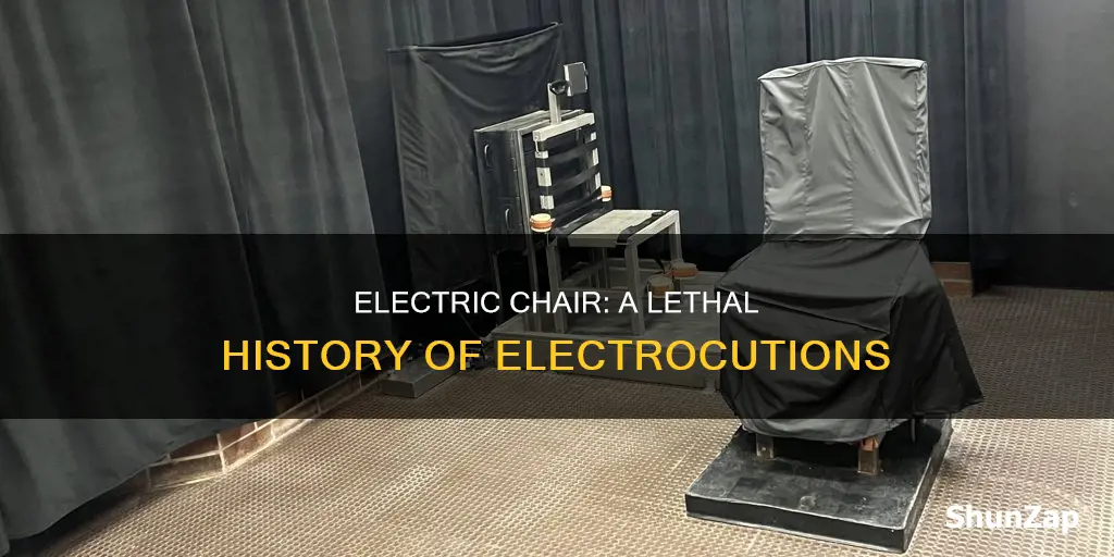 how did the electric chari kill people