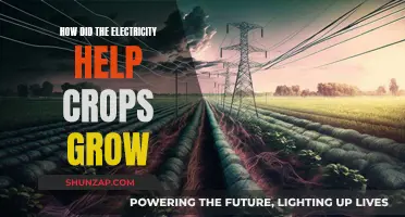 Electricity's Agricultural Revolution: Powering Crop Growth