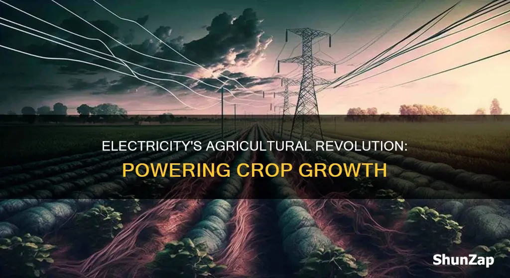 how did the electricity help crops grow