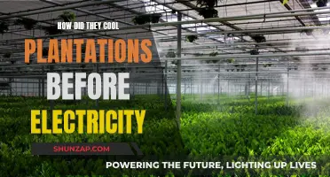 Plantation Cooling Methods Before Electricity: Natural Techniques