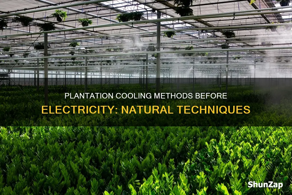 how did they cool plantations before electricity