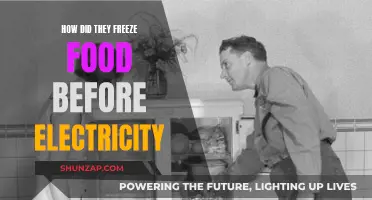 Freezing Food Before Electricity: Ancient Methods Explained