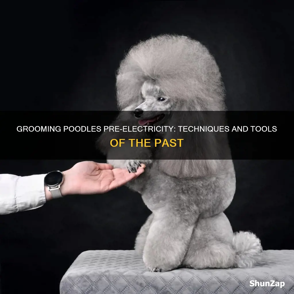 how did they groom poodles before electricity