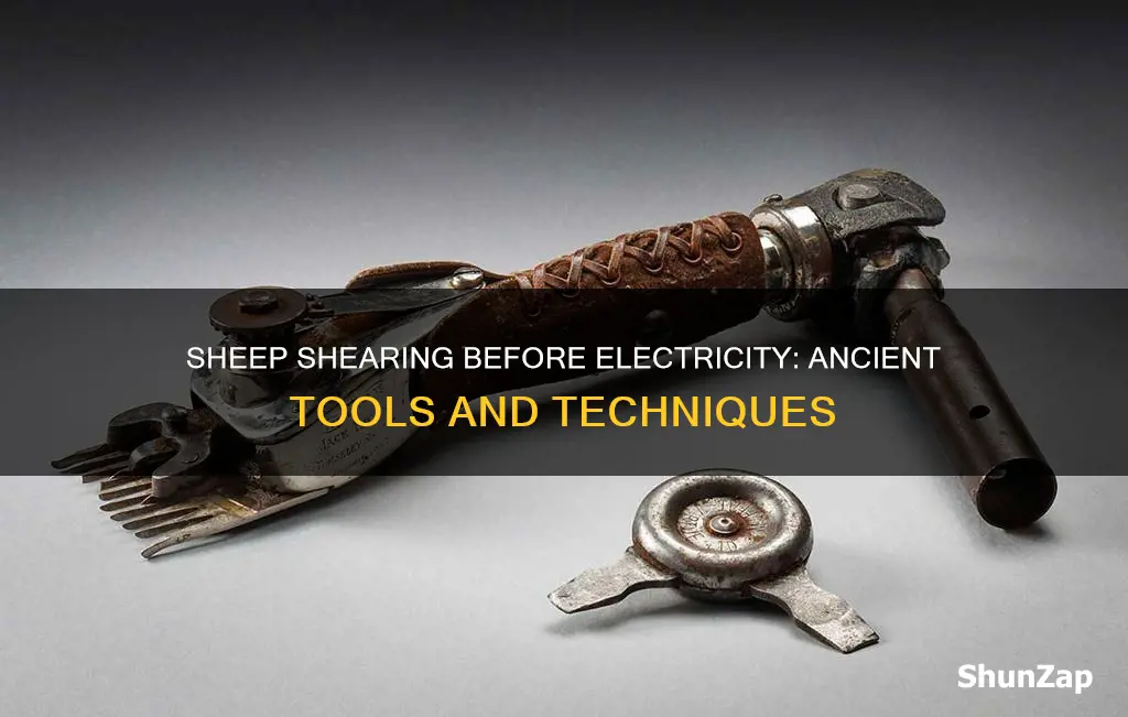 how did they shear sheep before electricity