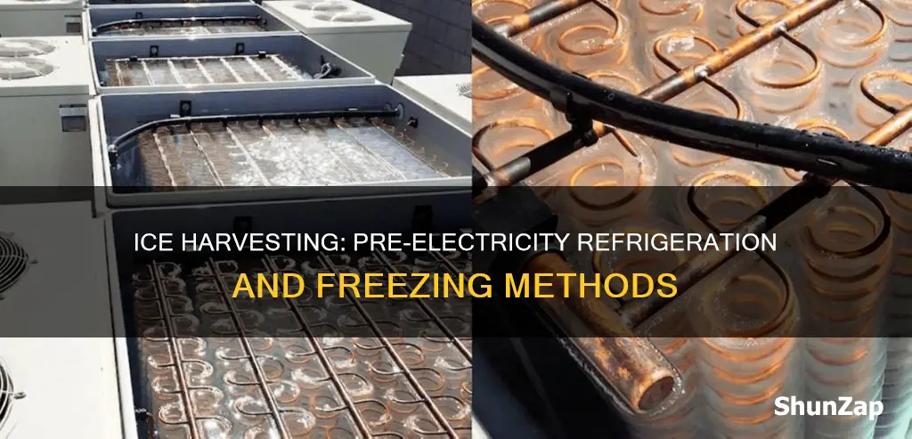 how did they store ice before electricity