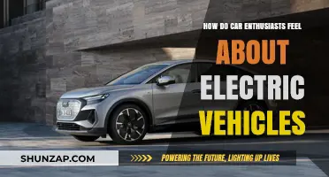 Electric Vehicles: Love or Hate Among Car Enthusiasts?