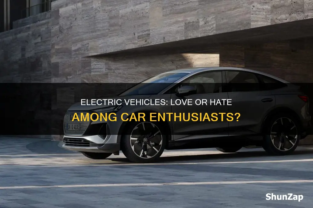 how do car enthusiasts feel about electric vehicles