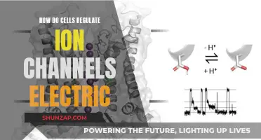 Electric Cell Regulation: Ion Channels Explained
