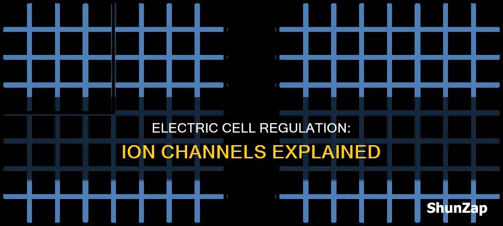 how do cells regulate ion channels electric
