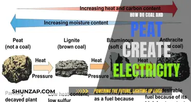 The Power of Coal and Peat: Generating Electricity