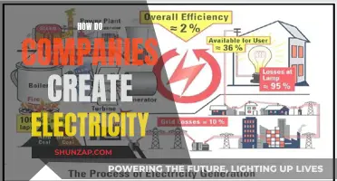 Creating Electricity: Powering Companies and the World