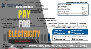 Electricity Costs: How Companies Pay Their Energy Bills