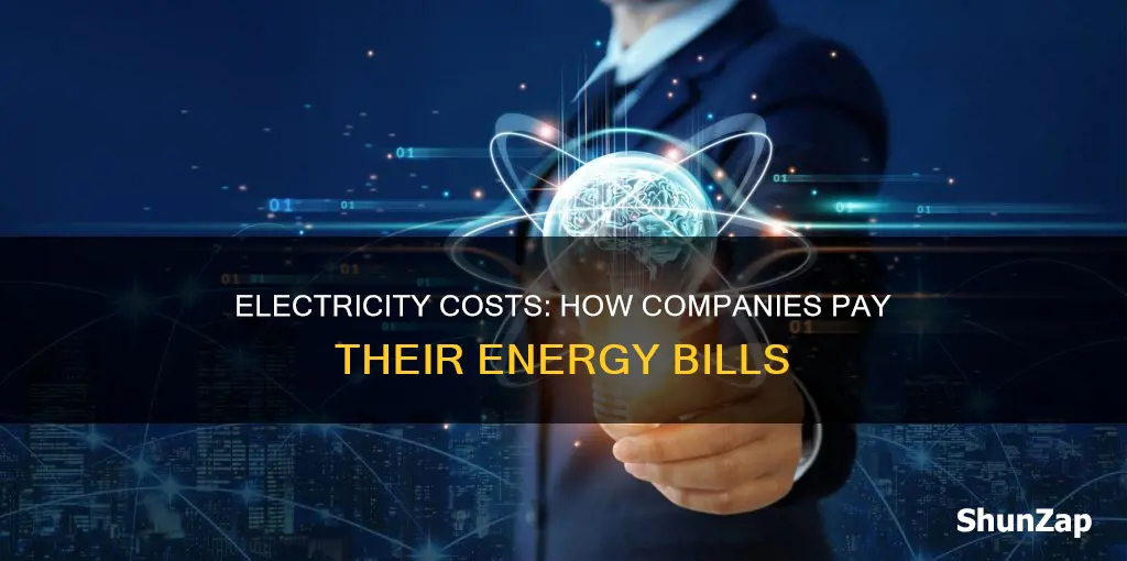 how do companies pay for electricity