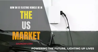 Electric Vehicles: EE's US Market Entry Strategy