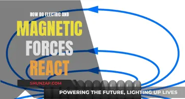 Electric and Magnetic Forces: Reacting to Change the World
