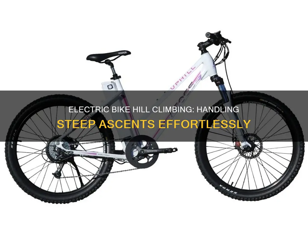 how do electric bikes handle hills