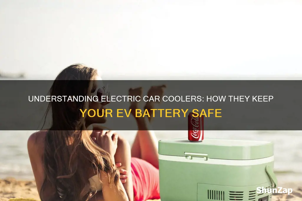 how do electric car coolers work