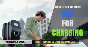 Charging Costs Unveiled: How Electric Car Owners Pay to Power Up
