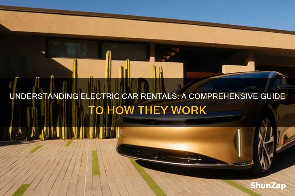 how do electric car rentals work