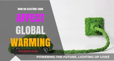 Electric Cars: A Climate Solution or Greenwashed Myth?