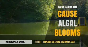 Electric Cars and Algal Blooms: Unintended Environmental Consequences Explained
