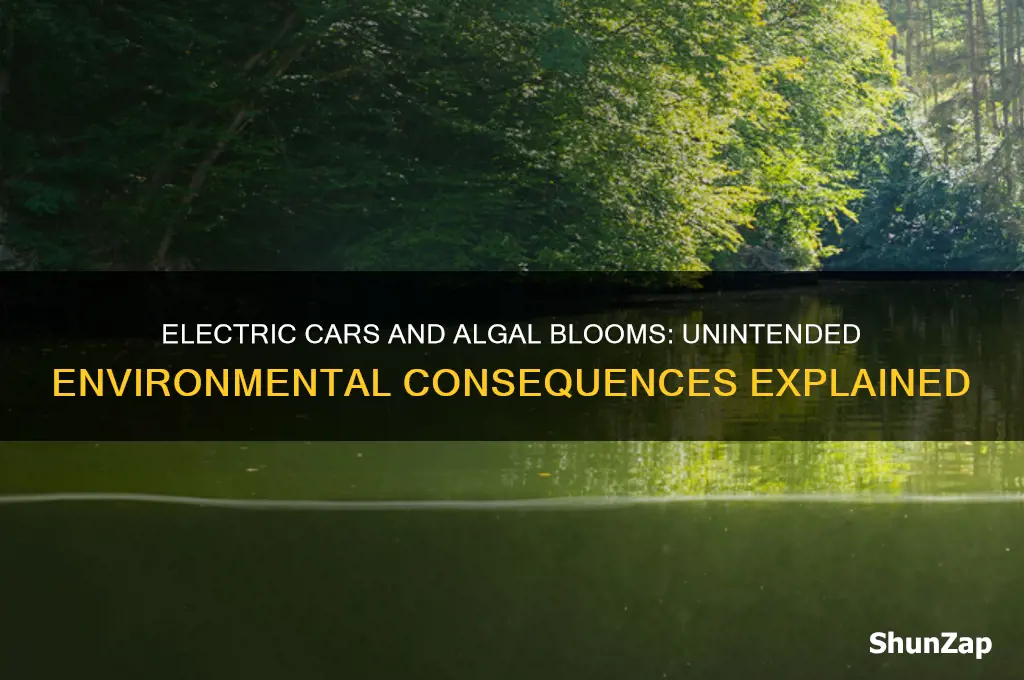 how do electric cars cause algal blooms