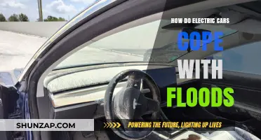 Electric Cars in Floods: Safety, Performance, and Survival Tips