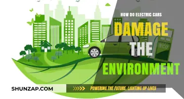 Electric Cars' Environmental Impact: Uncovering Hidden Costs and Consequences