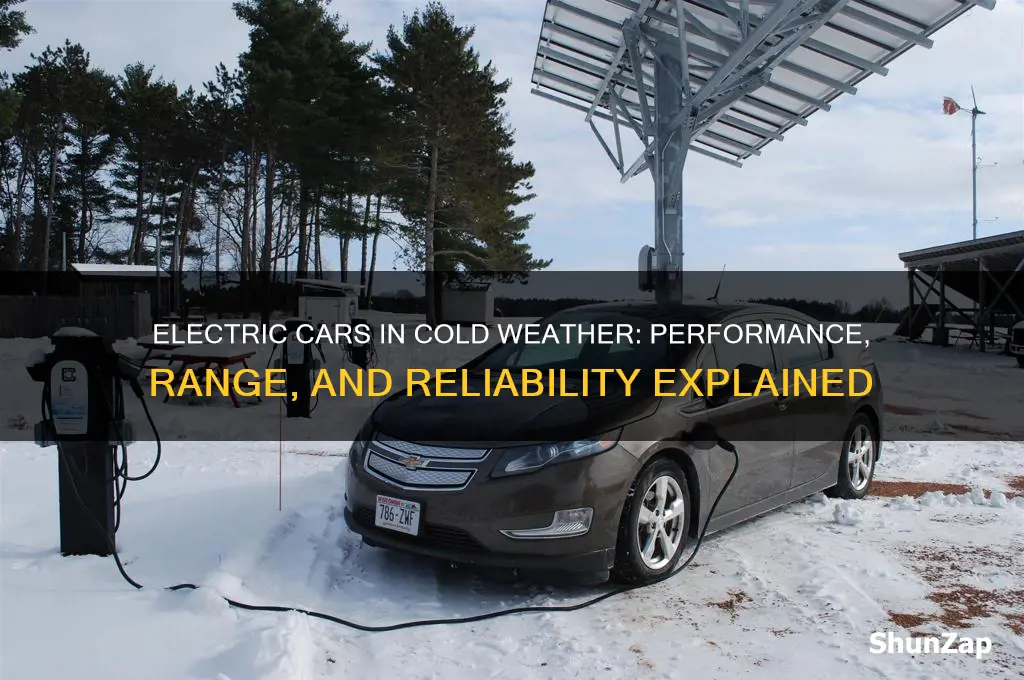 how do electric cars fair in cold weather