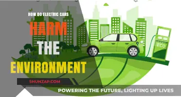 Electric Cars' Environmental Impact: Uncovering Hidden Costs and Concerns