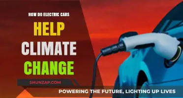Electric Cars: A Sustainable Solution to Combat Climate Change