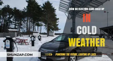 Electric Cars in Winter: Performance, Range, and Cold-Weather Challenges