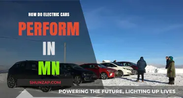 Electric Cars in Minnesota: Performance, Challenges, and Winter Reliability
