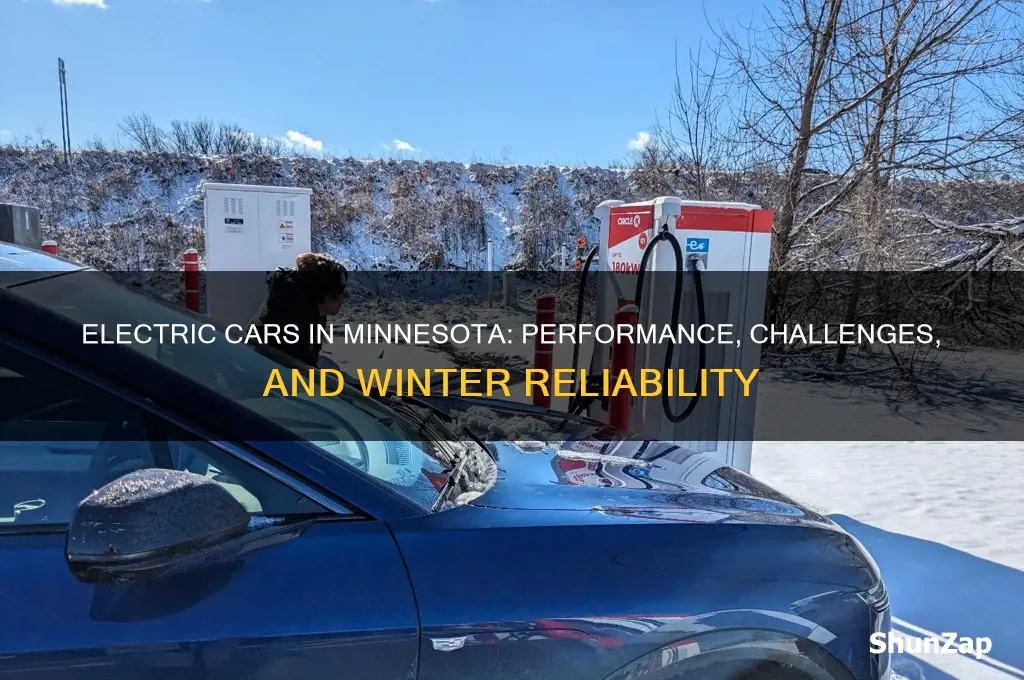how do electric cars perform in mn