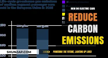Electric Cars: A Powerful Solution to Lower Carbon Emissions