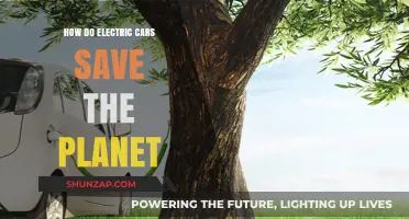 Electric Cars: A Sustainable Solution to Save Our Planet