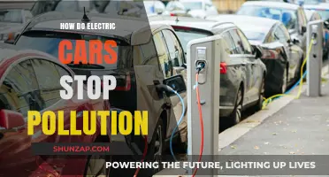 Electric Cars: A Clean Revolution to End Pollution