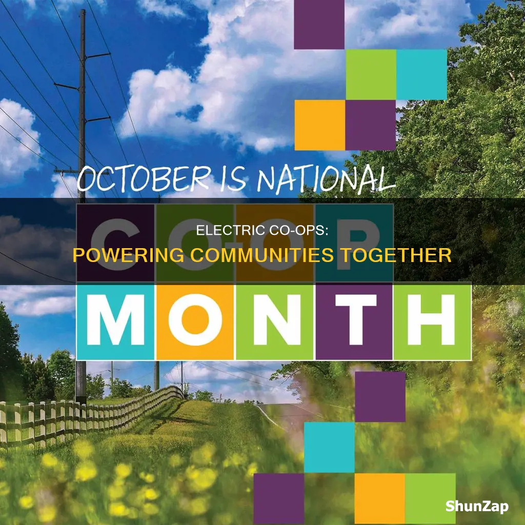 how do electric co ops connect communities