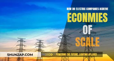 Electric Companies: Economies of Scale Strategies and Secrets