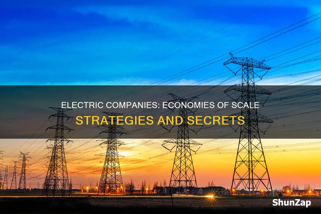 how do electric companies acheive econmies of scale