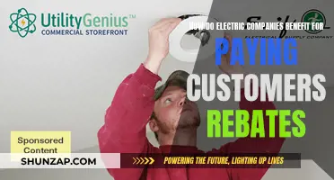 Electric Companies: Paying Customer Rebates, Profitable Benefits