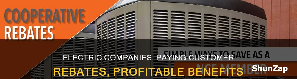 how do electric companies benefit for paying customers rebates