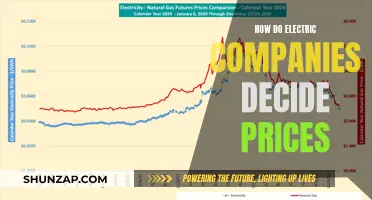 Electric Companies: Pricing Power Dynamics Explained