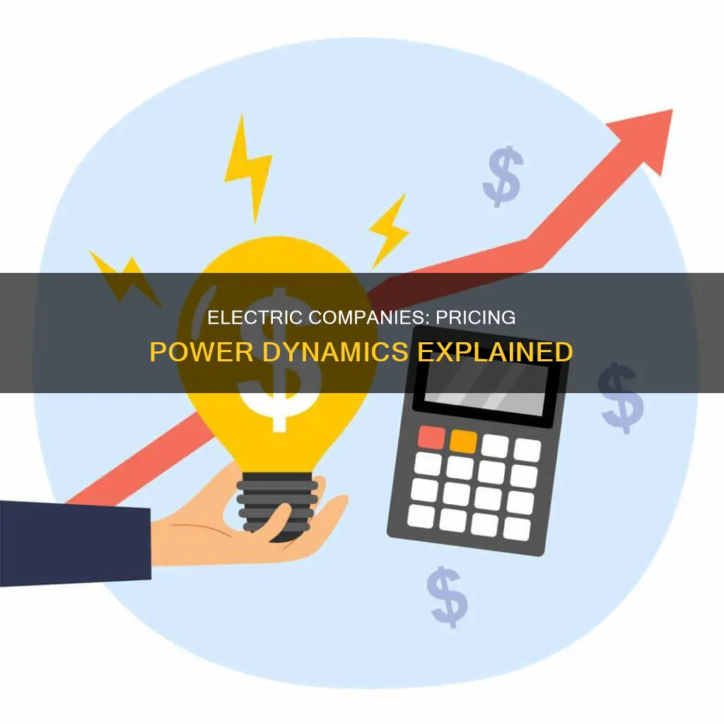 how do electric companies decide prices
