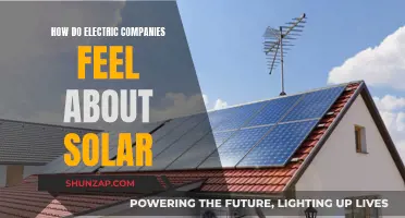 Electric Companies' Solar Energy: Friend or Foe?