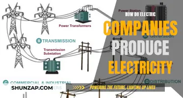 Electric Companies: Power Generation Explained