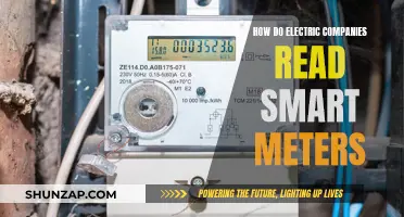 Smart Meter Reading: Electric Companies' Secret to Efficiency