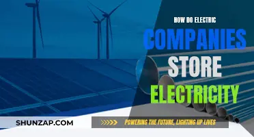 Electricity Storage: Power Companies' Strategies for Energy Reserves